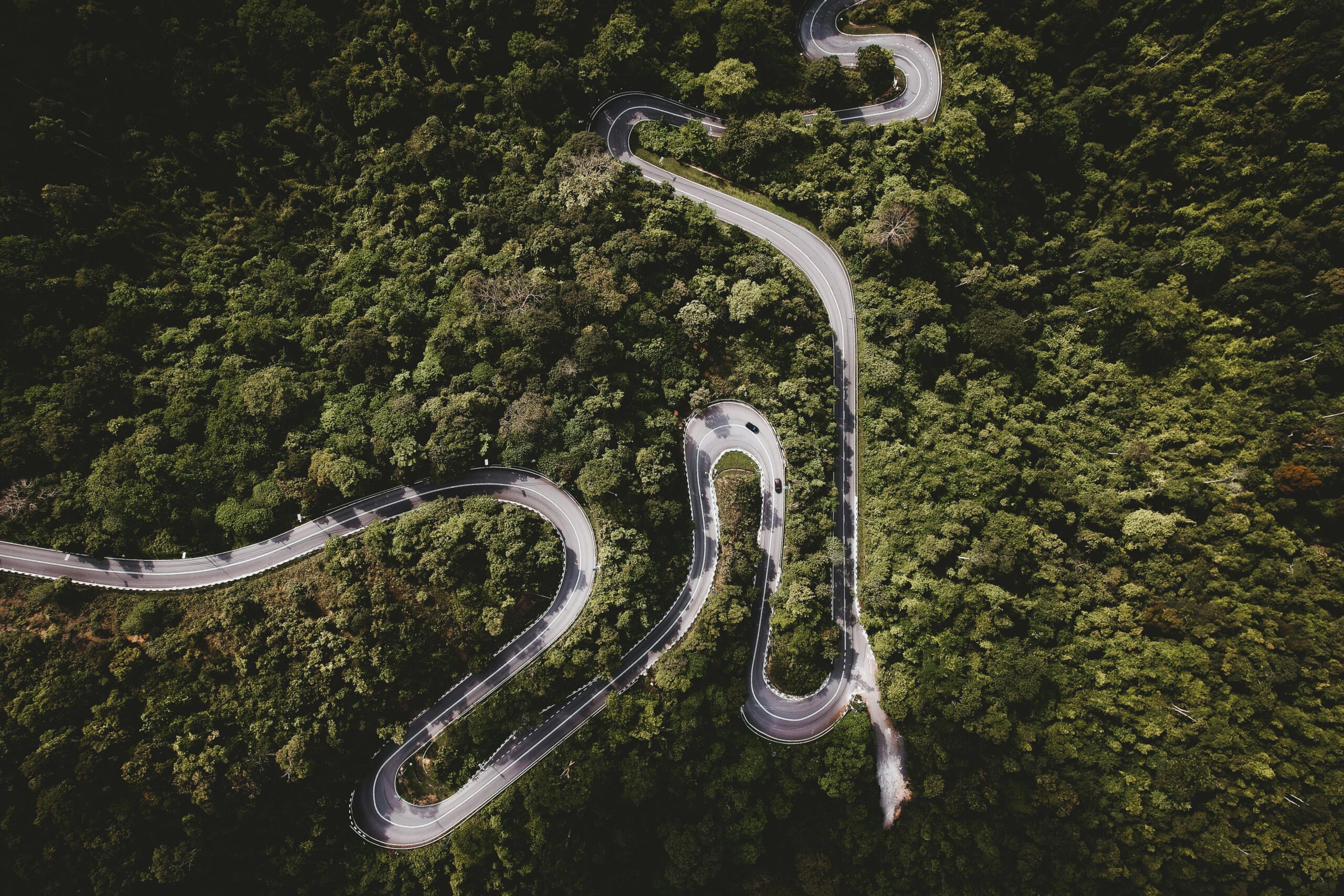 Chemin sinueux traversant plusieurs paysages distincts, illustration d'un parcours professionnel atypique